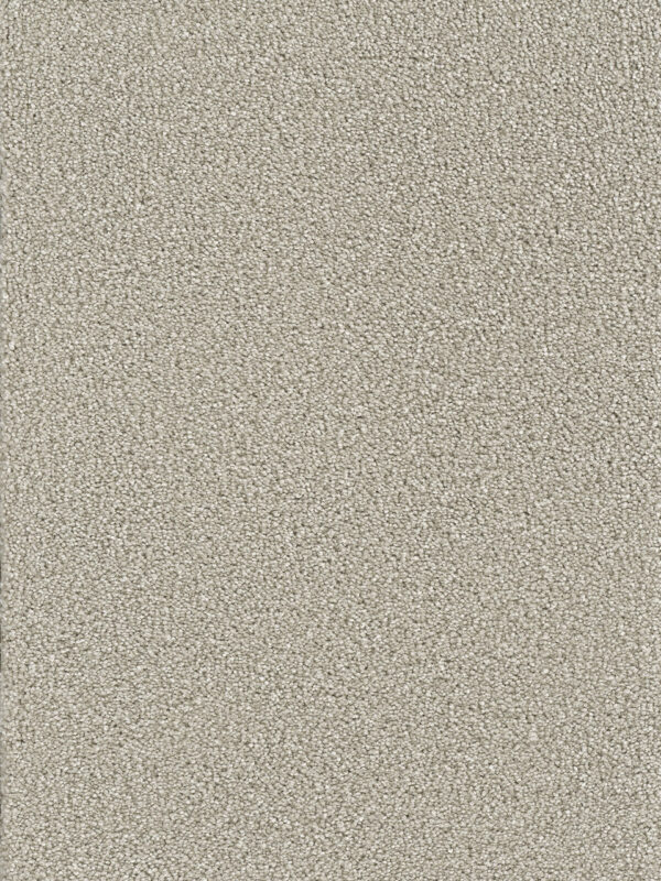 Dreamweaver Carpet Montauk Silver Lining Carpet 2560_830