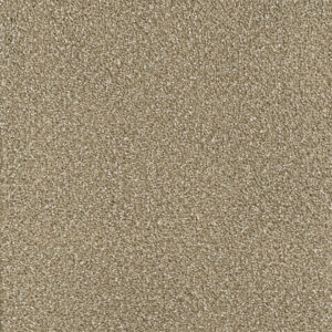 Dreamweaver Carpet Montauk Acorn Carpet 2560_858