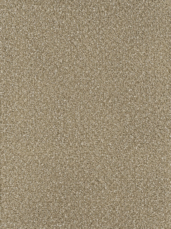 Dreamweaver Carpet Montauk Acorn Carpet 2560_858