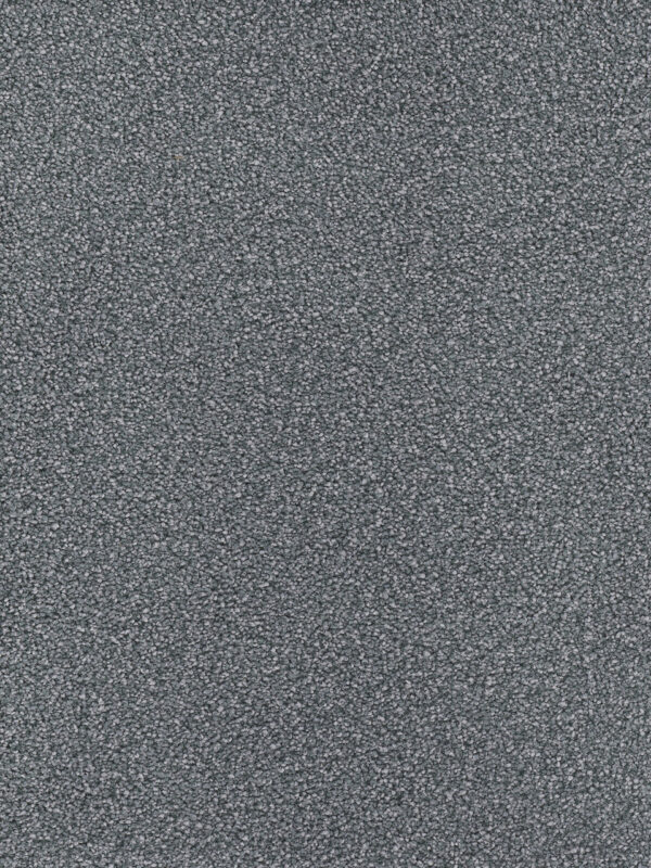 Dreamweaver Carpet Montauk Pewter Carpet 2560_890