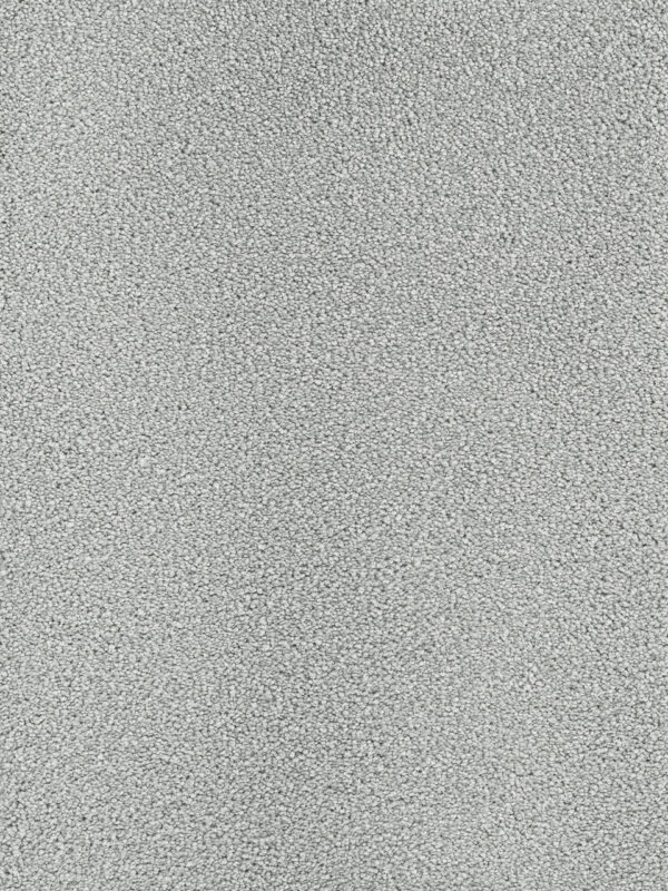 Dreamweaver Carpet Montauk Icicle Carpet 2560_910