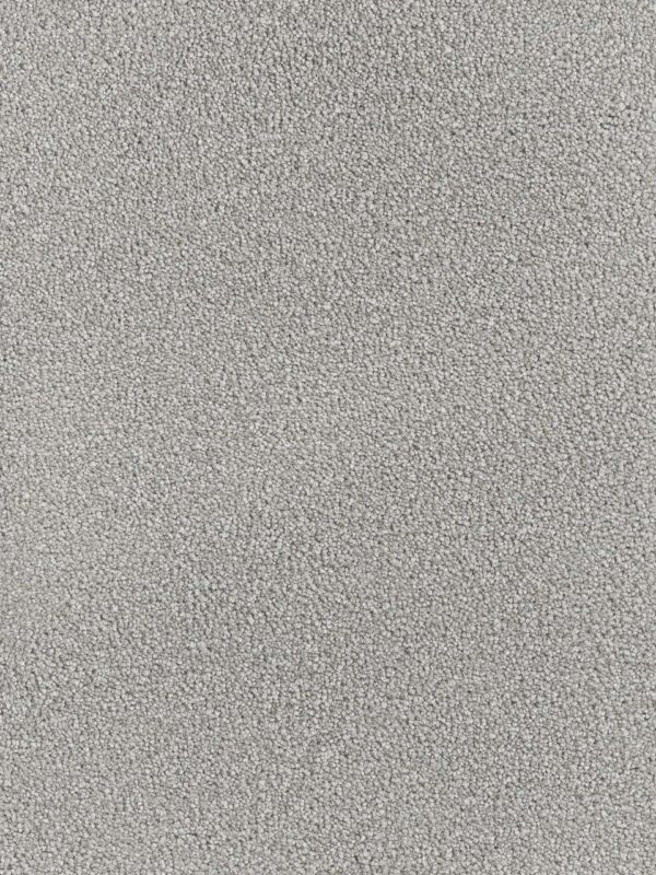 Dreamweaver Carpet Montauk Chrome Carpet 2560_927