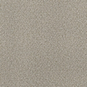 Dreamweaver Carpet Montauk Ash Carpet 2560_945
