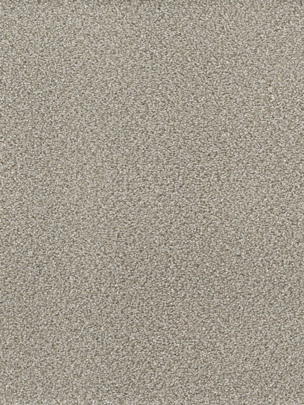 Dreamweaver Carpet Montauk Ash Carpet 2560_945