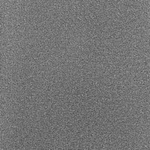 Dreamweaver Carpet Montauk Armor Carpet 2560_968