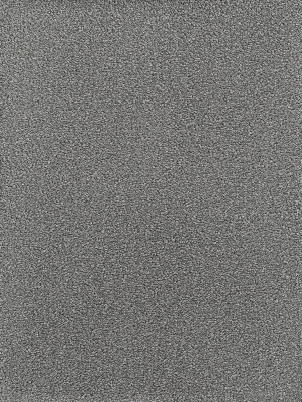 Dreamweaver Carpet Montauk Armor Carpet 2560_968