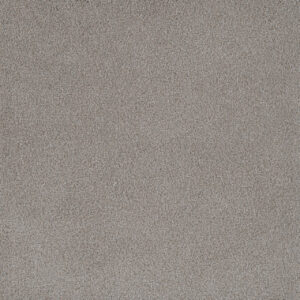 Dreamweaver Carpet Palmetto I Cherry Blossom Carpet 2732_2056