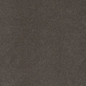 Dreamweaver Carpet Palmetto I Bear Paw Carpet 2732_2064