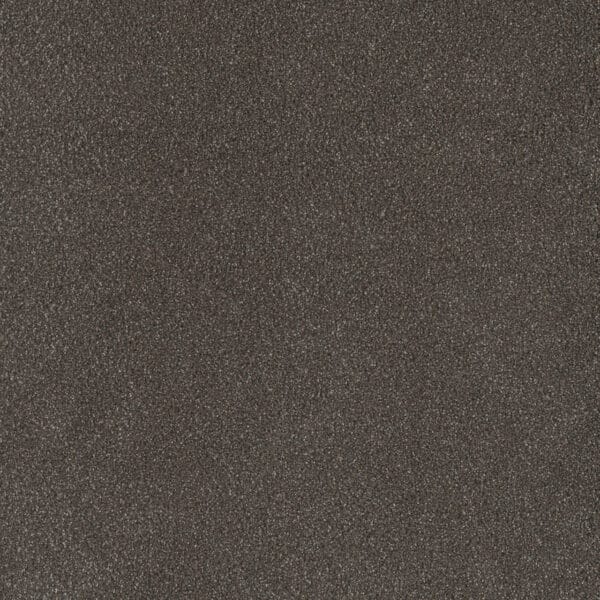 Dreamweaver Carpet Palmetto I Bear Paw Carpet 2732_2064