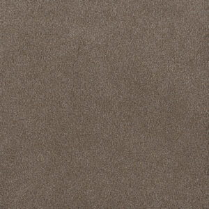 Dreamweaver Carpet Palmetto I Eagle Crest Carpet 2732_2114