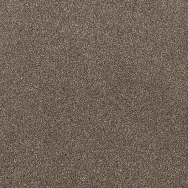Dreamweaver Carpet Palmetto I Eagle Crest Carpet 2732_2114