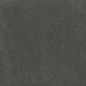 Dreamweaver Carpet Palmetto I Flint Carpet 2732_2138