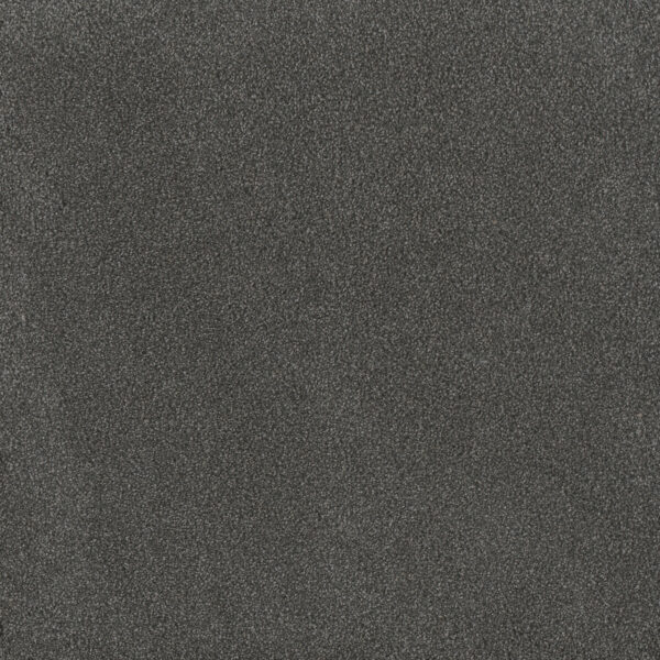 Dreamweaver Carpet Palmetto III Flint Carpet 2750_2138