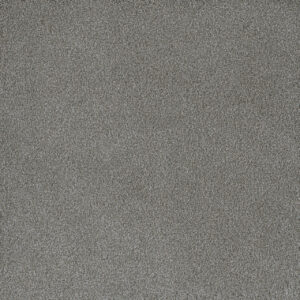 Dreamweaver Carpet Palmetto I Waterlily Carpet 2732_2153