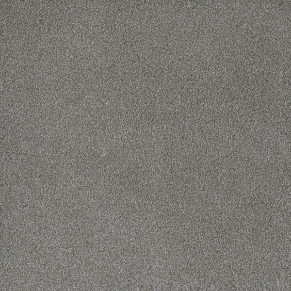 Dreamweaver Carpet Palmetto I Waterlily Carpet 2732_2153