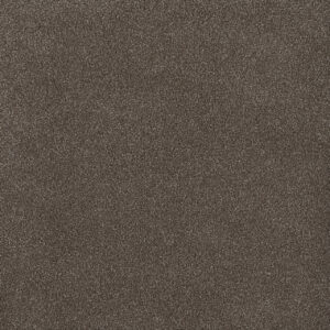 Dreamweaver Carpet Palmetto I Tea Time Carpet 2732_2189