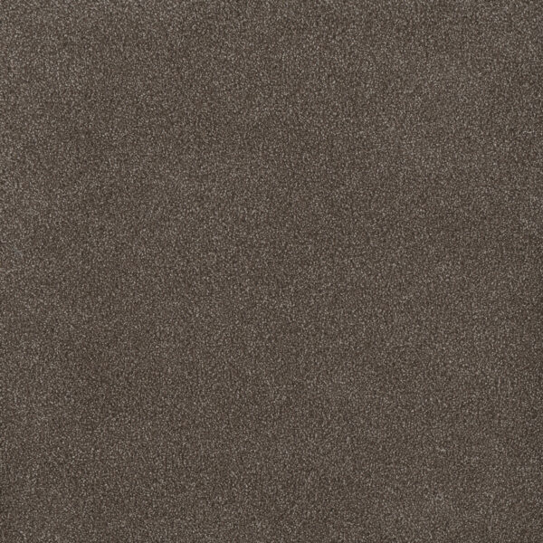 Dreamweaver Carpet Palmetto I Tea Time Carpet 2732_2189