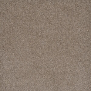 Dreamweaver Carpet Palmetto I Marigold Carpet 2732_2220