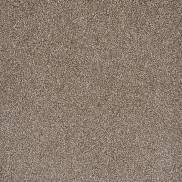 Dreamweaver Carpet Palmetto I Marigold Carpet 2732_2220