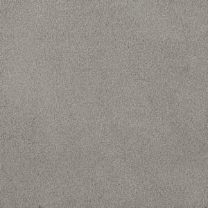 Dreamweaver Carpet Palmetto I Cascadia Carpet 2732_2224