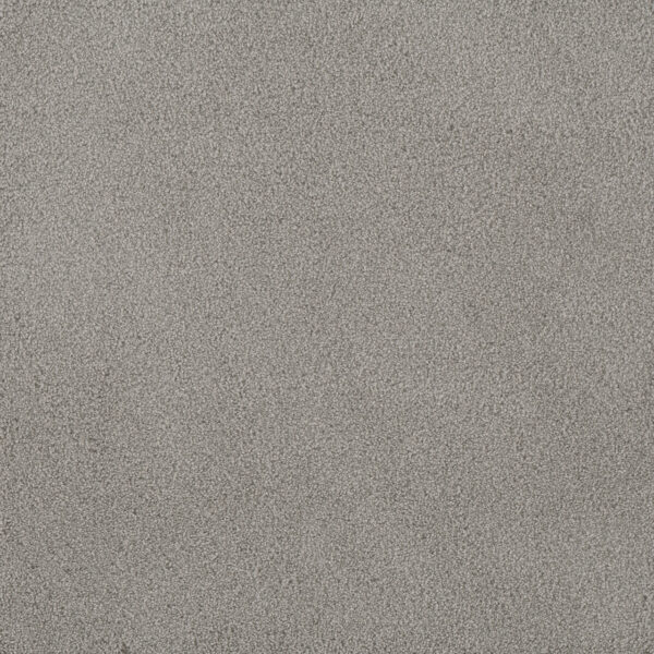 Dreamweaver Carpet Palmetto I Cascadia Carpet 2732_2224
