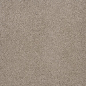 Dreamweaver Carpet Palmetto I Sun Washed Carpet 2732_2235