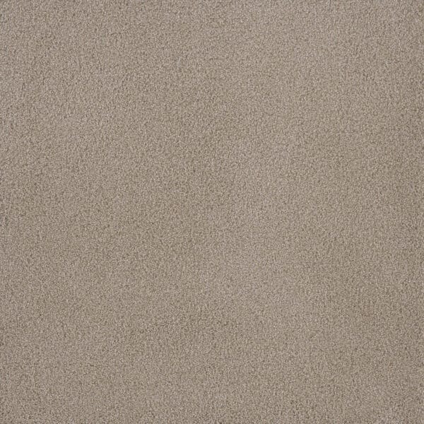 Dreamweaver Carpet Palmetto I Sun Washed Carpet 2732_2235