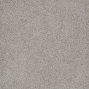 Dreamweaver Carpet Palmetto I Royalty Carpet 2732_2240