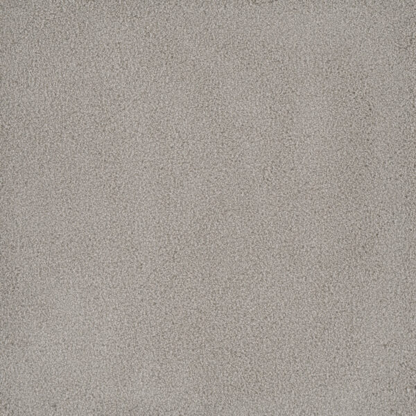 Dreamweaver Carpet Palmetto I Royalty Carpet 2732_2240