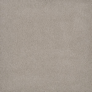 Dreamweaver Carpet Palmetto I Gardenia Carpet 2732_2266