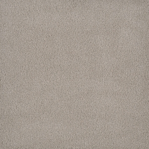 Dreamweaver Carpet Palmetto I Gardenia Carpet 2732_2266