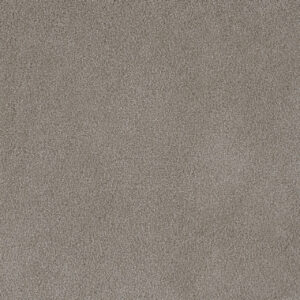 Dreamweaver Carpet Palmetto I Havana Carpet 2732_2275