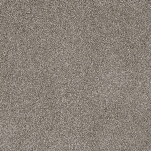 Dreamweaver Carpet Palmetto I Havana Carpet 2732_2275