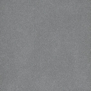 Dreamweaver Carpet Palmetto I Skylight Carpet 2732_2281