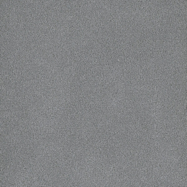 Dreamweaver Carpet Palmetto I Skylight Carpet 2732_2281