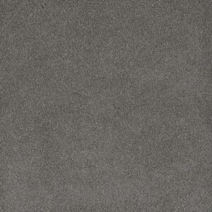 Dreamweaver Carpet Palmetto I Bay Leaf Carpet 2732_2290