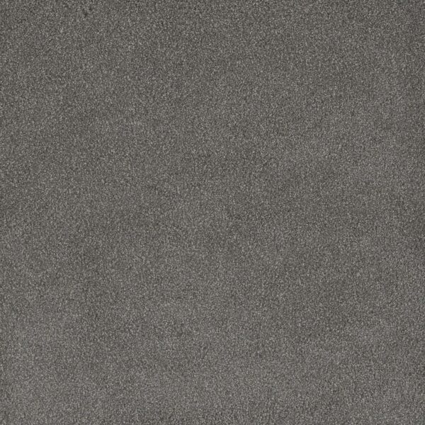 Dreamweaver Carpet Palmetto I Bay Leaf Carpet 2732_2290