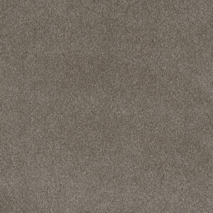 Dreamweaver Carpet Palmetto I Vienna Carpet 2732_2303