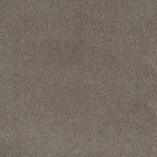 Dreamweaver Carpet Palmetto II Vienna Carpet 2740_2303