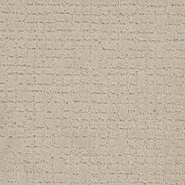 Dreamweaver Carpet Modern Edge Champagne Fizz Carpet 2825_6309