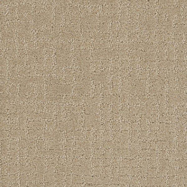Dreamweaver Carpet Modern Edge Soft Pine Carpet 2825_6317