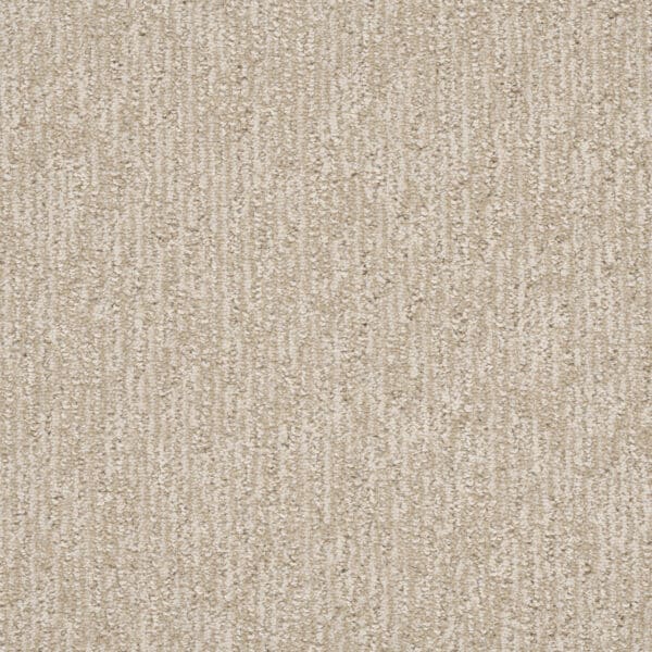 Dreamweaver Carpet Finishing Touch Beach Butter Carpet 2835_2838