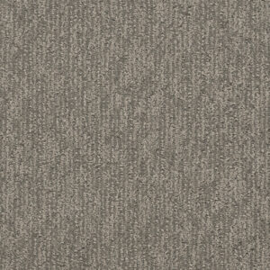 Dreamweaver Carpet Finishing Touch City View Carpet 2835_2842
