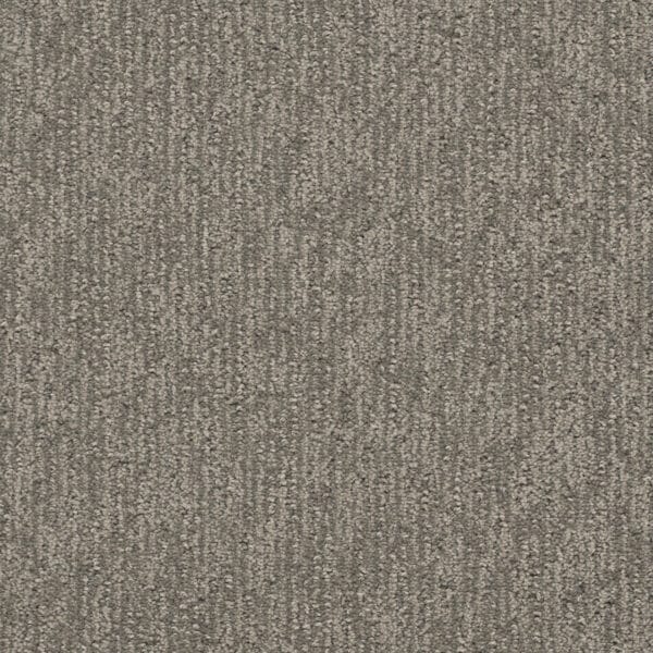 Dreamweaver Carpet Finishing Touch City View Carpet 2835_2842