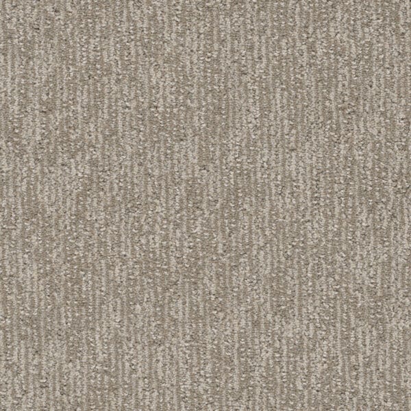 Dreamweaver Carpet Finishing Touch Skipping Carpet 2835_2847