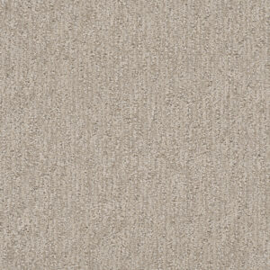 Dreamweaver Carpet Finishing Touch Cosmo Carpet 2835_2849