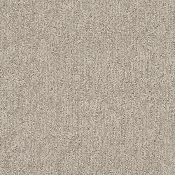 Dreamweaver Carpet Finishing Touch Cosmo Carpet 2835_2849