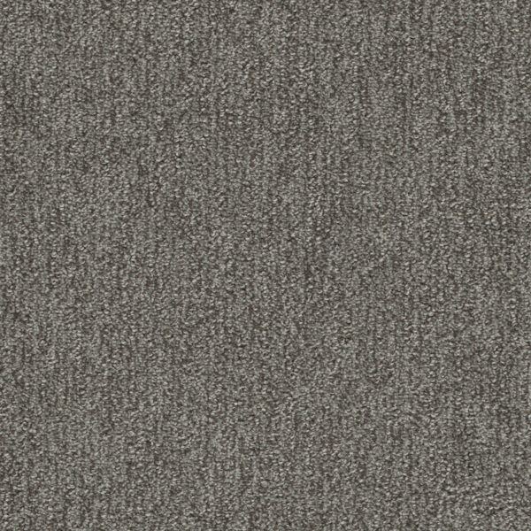 Dreamweaver Carpet Finishing Touch Deep Secret Carpet 2835_2857