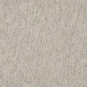 Dreamweaver Carpet Finishing Touch Heirloom Carpet 2835_2861