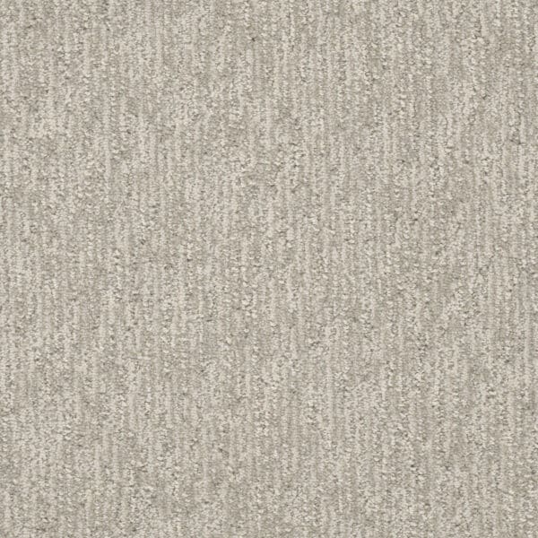 Dreamweaver Carpet Finishing Touch Heirloom Carpet 2835_2861